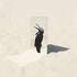 Penguin Cafe (Arthur Jeffes) - The Imperfect Sea (Black Vinyl) 