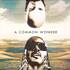 Amerigo Gazaway x Common vs. Stevie Wonder - A Common Wonder 