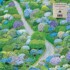Fiddlehead - Between The Richness (Purple/White Vinyl) 