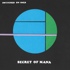 Switched On SNES - Secret of Mana (Green Vinyl) 
