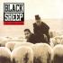 Black Sheep - A Wolf In Sheep's Clothing 