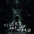Vince Pope - Tigers Are Not Afraid (Soundtrack / O.S.T.) 