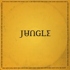Jungle - For Ever (Black Vinyl) 