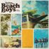 Various - Many Faces Of Beach Boys 