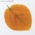 Pete Jolly - Seasons (Amber Vinyl) 