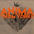 Thom Yorke - Anima (Orange Vinyl) 