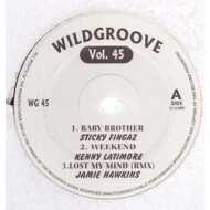 Various - Wildgroove Vol. 45 