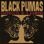 Black Pumas - Chronicles Of A Diamond (Clear Vinyl)  small pic 1