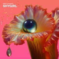 Shygirl - Fabric Presents: Shygirl 