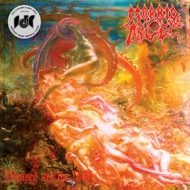 Morbid Angel - Blessed Are The Sick 