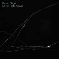 Roman Flügel - All The Right Noises 