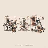 Sia - Colour The Small One (RSD 2024) 