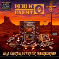 Public Enemy - What You Gonna Do When The Grid Goes Down 