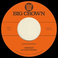 Liam Bailey - Champion (Remix) / Ugly Truth (Remix) 