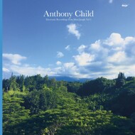 Anthony Child (Surgeon) - Electronic Recordings From Maui Jungle Volume 2 