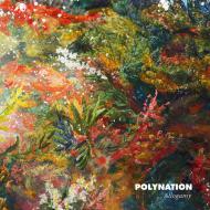 Polynation - Allogamy 