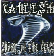 Caleesh - Snake In The Grass 
