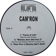 Cam'ron - Facts Of Life 