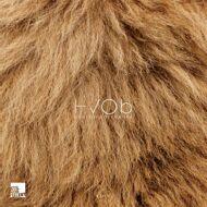 HVOb (Her Voice Over Boys) - Lion 