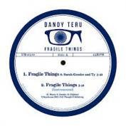 Dandy Teru - Fragile Things 