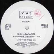FPI Project - Rich In Paradise 