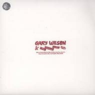 Gary Wilson - Stones Throw Direct To Disc #2 