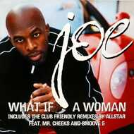 Joe - What If A Woman 
