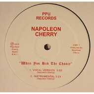 Napoleon Cherry - When You Had The Chance 