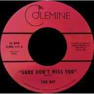 The Dip - Sure Don't Miss You 