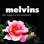 Melvins - The Maggot & The Bootlicker  small pic 2