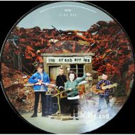 The Cranberries - In the End (Picture Disc) 