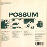 The Radiophonic Workshop - Possum (Soundtrack / O.S.T. - RSD 2021) 