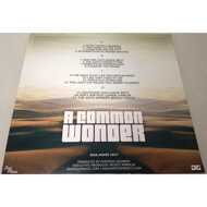 Amerigo Gazaway x Common vs. Stevie Wonder - A Common Wonder 