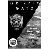 Grizzly Gato - While You Were Sleeping / Water Colors Split EP 