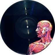 Tool - Lateralus (Picture Disc) 
