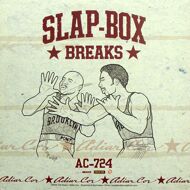 Roc Raida - Slap-Box Breaks 