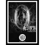The Bomb Shelta Association - Rebirth 