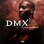 DMX - It's Dark And Hell Is Hot 