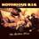 Notorious B.I.G. - Instrumentals - The Golden Voice (Black Vinyl) 