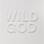 Nick Cave & The Bad Seeds - Wild God (Black Vinyl) 